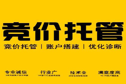 竞价广告优化：SEM竞价专员的实战案例